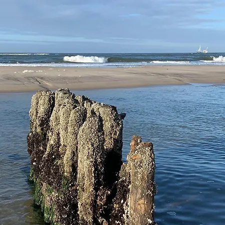 Apartman Sylter-rose-3a-strandnahe-ferienwohnung-mit-strandkorb