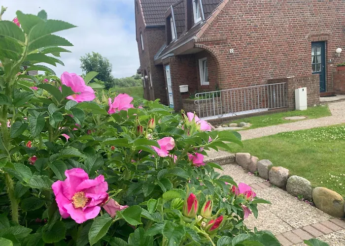 Lägenhet Sylter-rose-3a-strandnahe-ferienwohnung-mit-strandkorb Westerland